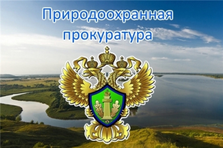 Архангельская межрайонная природоохранная прокуратура разъясняет. Архангельская межрайонная природоохранная прокуратура разъясняет.